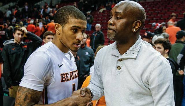 详细的财务 详细的财务